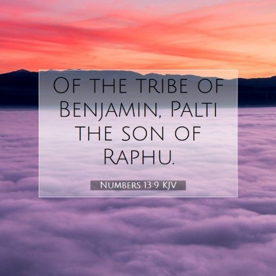Picture 07 - Numbers 13:9 KJV - Of the tribe of Benjamin, Palti the son of - Bible Verse Picture