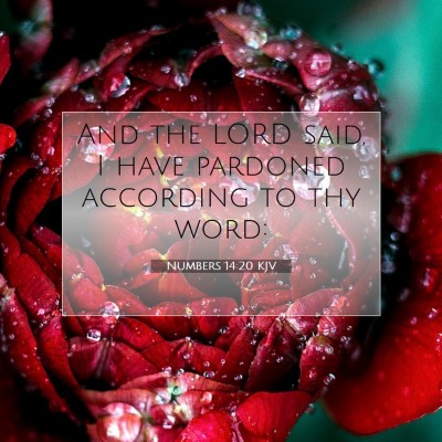 Picture 07 - Numbers 14:20 KJV - And the LORD said, I have pardoned according to - Bible Verse Picture