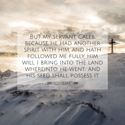 Picture 07 - Numbers 14:24 KJV - But my servant Caleb, because he had another - Bible Verse Picture