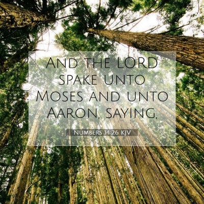 Picture 07 - Numbers 14:26 KJV - And the LORD spake unto Moses and unto Aaron, - Bible Verse Picture
