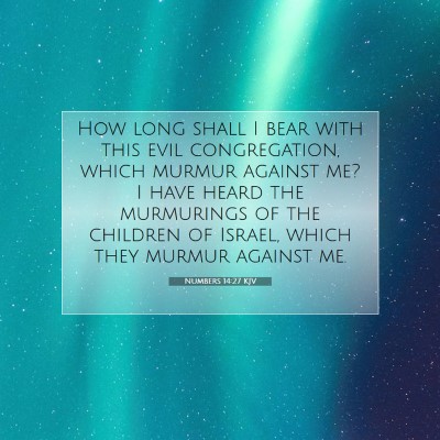 Picture 07 - Numbers 14:27 KJV - How long shall I bear with this evil - Bible Verse Picture