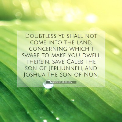 Picture 07 - Numbers 14:30 KJV - Doubtless ye shall not come into the land, - Bible Verse Picture