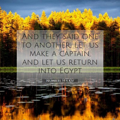 Picture 07 - Numbers 14:4 KJV - And they said one to another, Let us make a - Bible Verse Picture