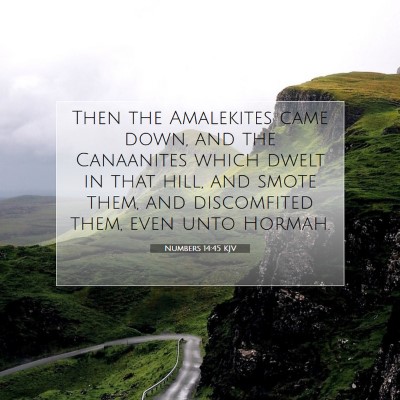Picture 07 - Numbers 14:45 KJV - Then the Amalekites came down, and the Canaanites - Bible Verse Picture