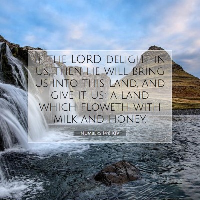 Picture 07 - Numbers 14:8 KJV - If the LORD delight in us, then he will bring us - Bible Verse Picture
