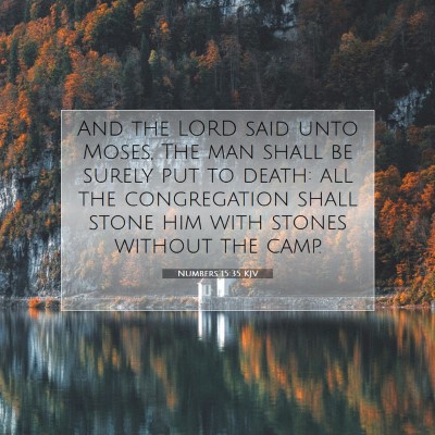 Picture 07 - Numbers 15:35 KJV - And the LORD said unto Moses, The man shall be - Bible Verse Picture