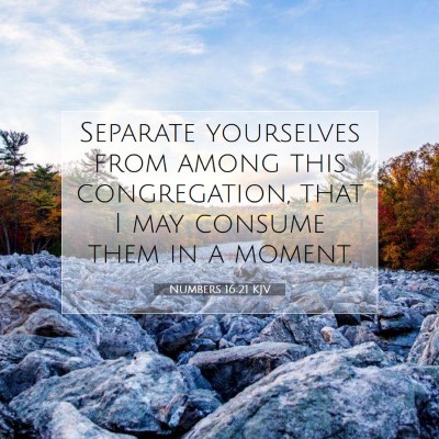 Picture 07 - Numbers 16:21 KJV - Separate yourselves from among this congregation, - Bible Verse Picture