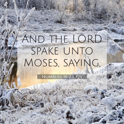 Picture 07 - Numbers 16:23 KJV - And the LORD spake unto Moses, - Bible Verse Picture