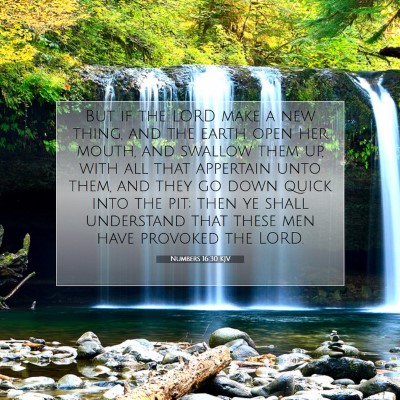 Picture 07 - Numbers 16:30 KJV - But if the LORD make a new thing, and the earth - Bible Verse Picture