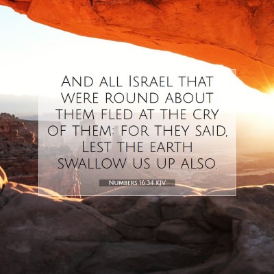 Picture 07 - Numbers 16:34 KJV - And all Israel that were round about them fled at - Bible Verse Picture