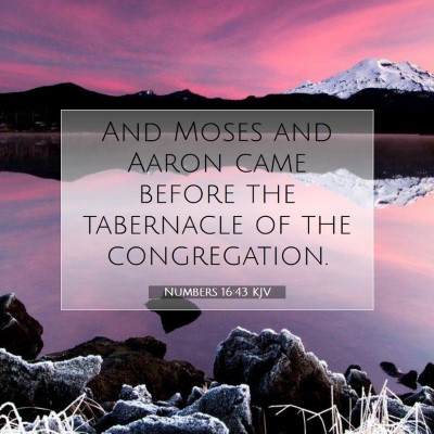 Picture 07 - Numbers 16:43 KJV - And Moses and Aaron came before the tabernacle of - Bible Verse Picture