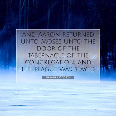 Picture 07 - Numbers 16:50 KJV - And Aaron returned unto Moses unto the door of - Bible Verse Picture