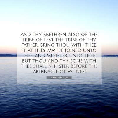 Picture 07 - Numbers 18:2 KJV - And thy brethren also of the tribe of Levi, the - Bible Verse Picture
