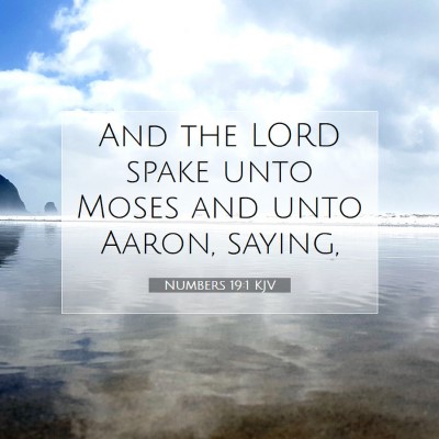 Picture 07 - Numbers 19:1 KJV - And the LORD spake unto Moses and unto Aaron, - Bible Verse Picture