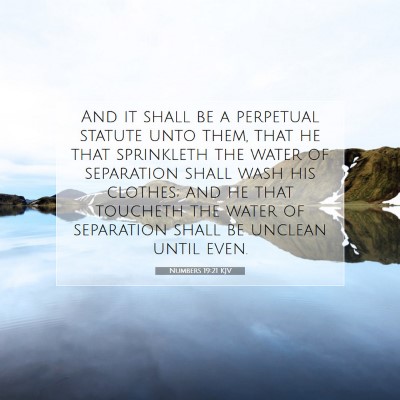 Picture 07 - Numbers 19:21 KJV - And it shall be a perpetual statute unto them, - Bible Verse Picture