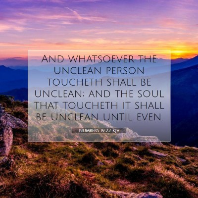 Picture 07 - Numbers 19:22 KJV - And whatsoever the unclean person toucheth shall - Bible Verse Picture