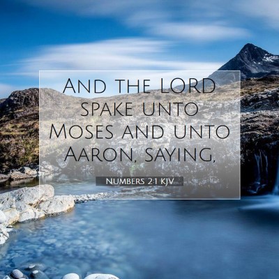 Picture 07 - Numbers 2:1 KJV - And the LORD spake unto Moses and unto Aaron, - Bible Verse Picture