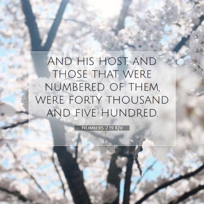 Picture 07 - Numbers 2:19 KJV - And his host, and those that were numbered of - Bible Verse Picture