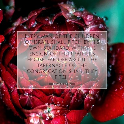 Picture 07 - Numbers 2:2 KJV - Every man of the children of Israel shall pitch - Bible Verse Picture