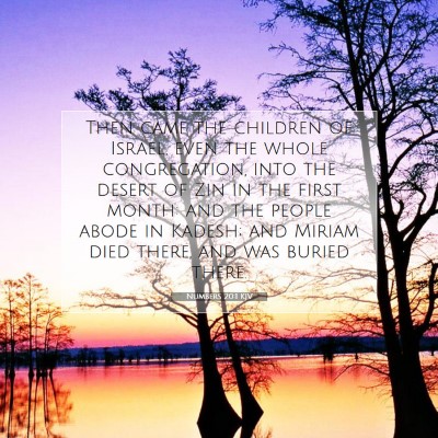 Picture 07 - Numbers 20:1 KJV - Then came the children of Israel, even the whole - Bible Verse Picture