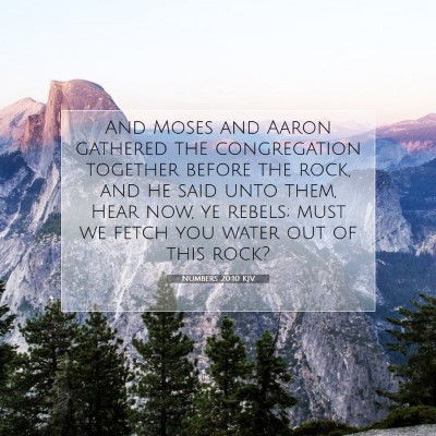 Picture 07 - Numbers 20:10 KJV - And Moses and Aaron gathered the congregation - Bible Verse Picture