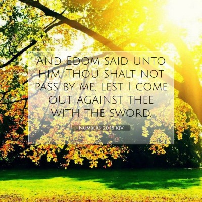 Picture 07 - Numbers 20:18 KJV - And Edom said unto him, Thou shalt not pass by - Bible Verse Picture