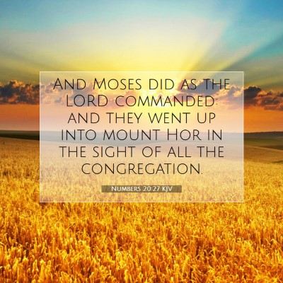 Picture 07 - Numbers 20:27 KJV - And Moses did as the LORD commanded: and they - Bible Verse Picture