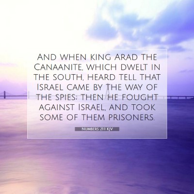 Picture 07 - Numbers 21:1 KJV - And when king Arad the Canaanite, which dwelt in - Bible Verse Picture