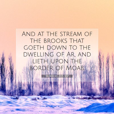 Picture 07 - Numbers 21:15 KJV - And at the stream of the brooks that goeth down - Bible Verse Picture