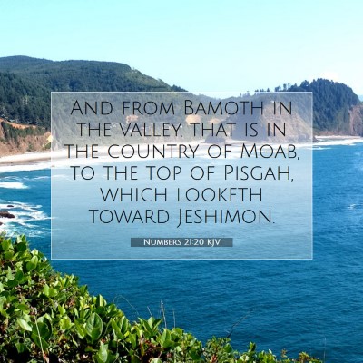 Picture 07 - Numbers 21:20 KJV - And from Bamoth in the valley, that is in the - Bible Verse Picture
