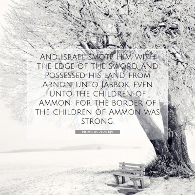 Picture 07 - Numbers 21:24 KJV - And Israel smote him with the edge of the sword, - Bible Verse Picture