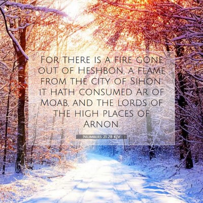 Picture 07 - Numbers 21:28 KJV - For there is a fire gone out of Heshbon, a flame - Bible Verse Picture