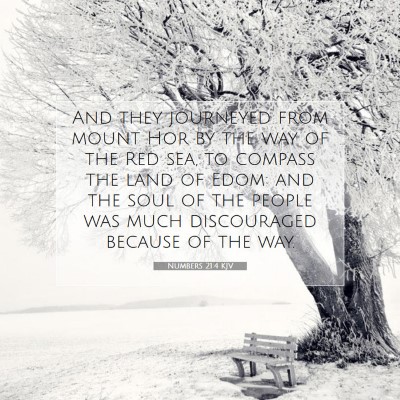 Picture 07 - Numbers 21:4 KJV - And they journeyed from mount Hor by the way of - Bible Verse Picture