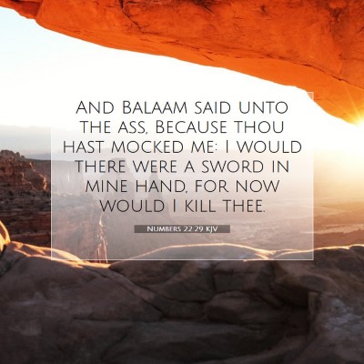 Picture 07 - Numbers 22:29 KJV - And Balaam said unto the ass, Because thou hast - Bible Verse Picture
