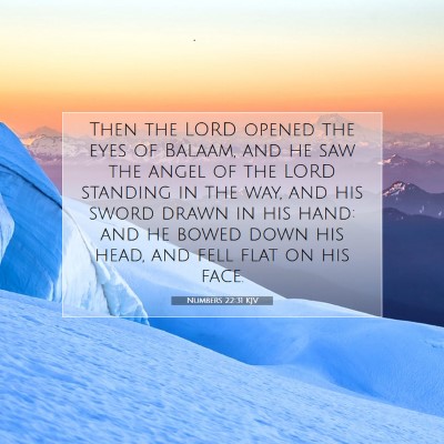 Picture 07 - Numbers 22:31 KJV - Then the LORD opened the eyes of Balaam, and he - Bible Verse Picture