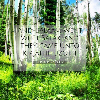 Picture 07 - Numbers 22:39 KJV - And Balaam went with Balak, and they came unto - Bible Verse Picture