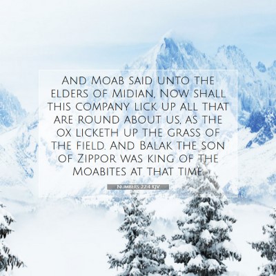 Picture 07 - Numbers 22:4 KJV - And Moab said unto the elders of Midian, Now - Bible Verse Picture