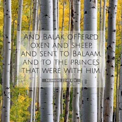 Picture 07 - Numbers 22:40 KJV - And Balak offered oxen and sheep, and sent to - Bible Verse Picture