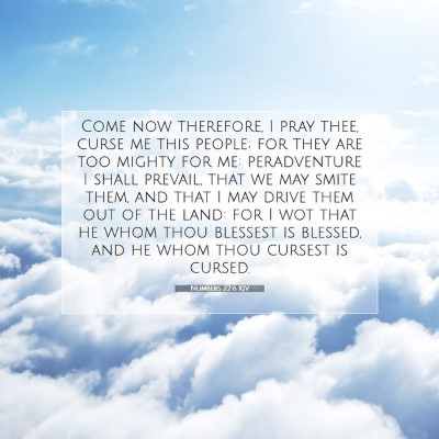 Picture 07 - Numbers 22:6 KJV - Come now therefore, I pray thee, curse me this - Bible Verse Picture