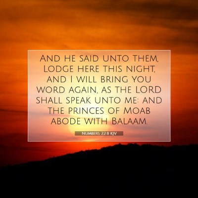 Picture 07 - Numbers 22:8 KJV - And he said unto them, Lodge here this night, and - Bible Verse Picture
