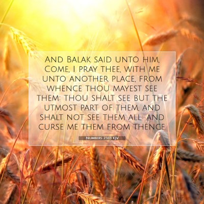 Picture 07 - Numbers 23:13 KJV - And Balak said unto him, Come, I pray thee, with - Bible Verse Picture