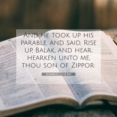 Picture 07 - Numbers 23:18 KJV - And he took up his parable, and said, Rise up, - Bible Verse Picture