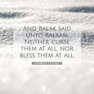 Picture 07 - Numbers 23:25 KJV - And Balak said unto Balaam, Neither curse them at - Bible Verse Picture