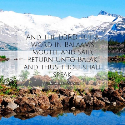 Picture 07 - Numbers 23:5 KJV - And the LORD put a word in Balaam's mouth, and - Bible Verse Picture