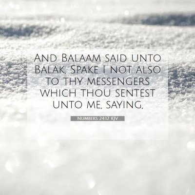 Picture 07 - Numbers 24:12 KJV - And Balaam said unto Balak, Spake I not also to - Bible Verse Picture