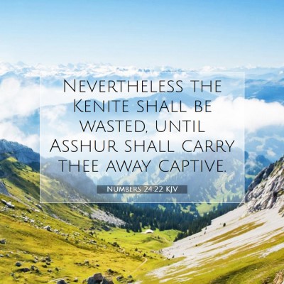 Picture 07 - Numbers 24:22 KJV - Nevertheless the Kenite shall be wasted, until - Bible Verse Picture