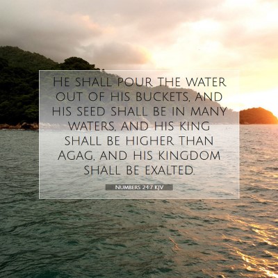 Picture 07 - Numbers 24:7 KJV - He shall pour the water out of his buckets, and - Bible Verse Picture