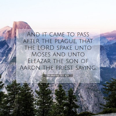 Picture 07 - Numbers 26:1 KJV - And it came to pass after the plague, that the - Bible Verse Picture