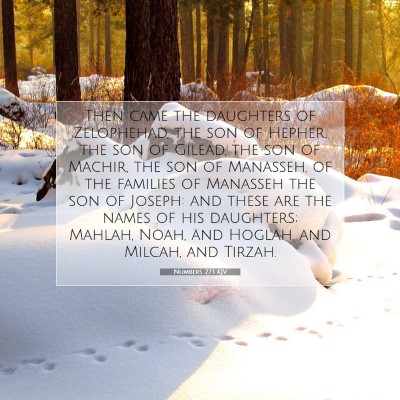 Picture 07 - Numbers 27:1 KJV - Then came the daughters of Zelophehad, the son of - Bible Verse Picture