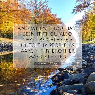 Picture 07 - Numbers 27:13 KJV - And when thou hast seen it, thou also shalt be - Bible Verse Picture